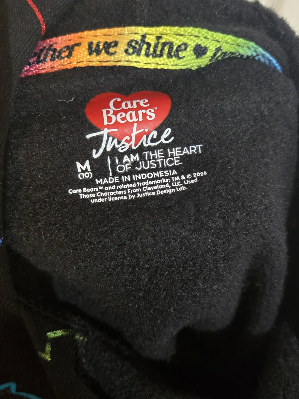Care Bears Black Rainbow Outline Hoodie